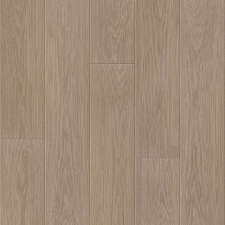 Picture of Shaw Floors - Prominence Plus Toasted Sienna