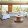 Picture of Shaw Floors - Resolute 7 Plus Cut Pine