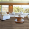Picture of Shaw Floors - Resolute 7 Plus Wire Walnut