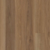 Picture of Shaw Floors - Supino HD Plus Natural Bevel Olive Tree