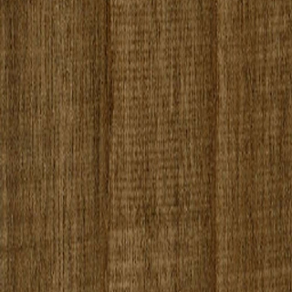 Picture of Shaw Floors - Tri Cities 20 Choke Canyon