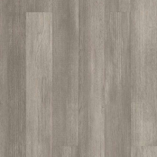 Picture of Shaw Floors - Tri Cities 30 Steel City