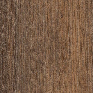 Picture of Shaw Floors - Tri Cities 30 Kings Canyon