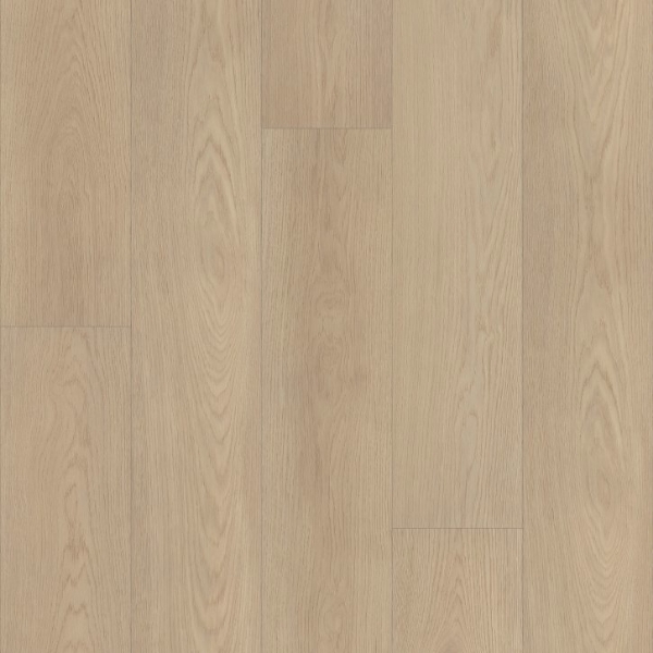 Picture of Shaw Floors - Vantage Point NB Escape