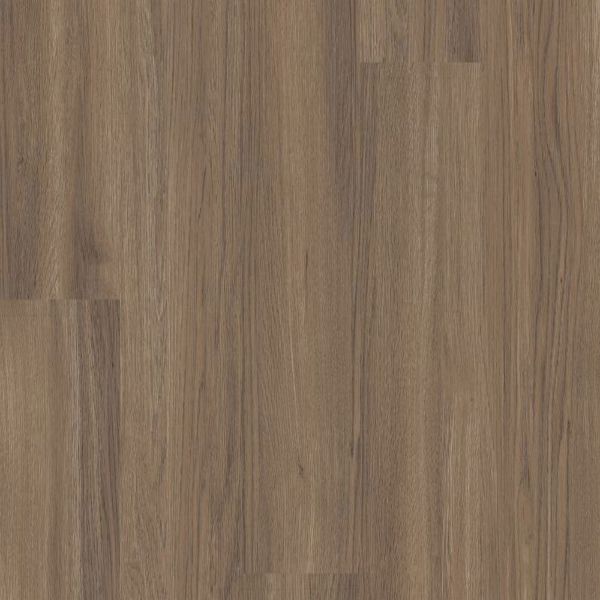 Picture of Shaw Floors - Worlds Fair 6 MIL Dallas