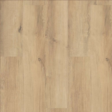 Picture of 5th and Main - Frontier Plus Centennial Divide