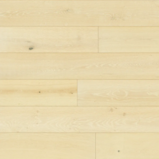 Picture of Bedrosians - Newport Shell