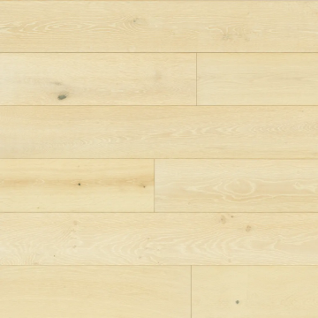 Picture of Bedrosians - Newport Shell