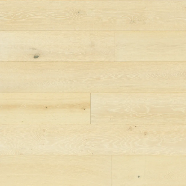 Picture of Bedrosians - Newport Shell