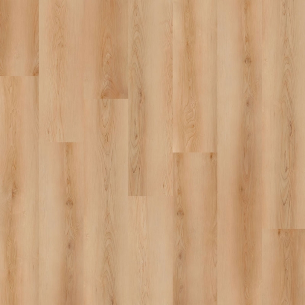 Picture of Nova Floor - Dansbee HDC Malibu