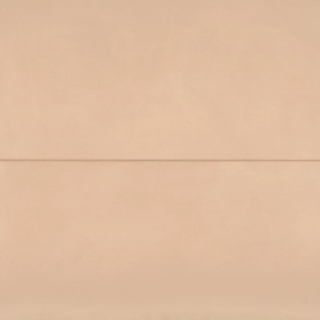 Picture of Bedrosians - Sahara 24 x 48 Rose