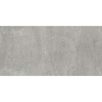 Picture of Milestone - Plus One 12 x 24 Matte Ash