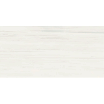 Picture of Gazzini - Dolomite 24 x 48 White Matte