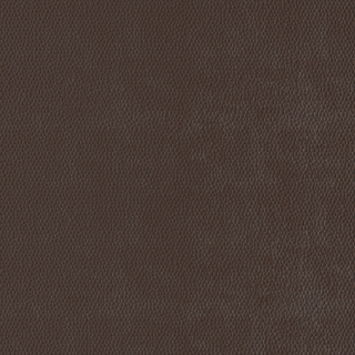 Picture of Burke - Colorscape Sculptured 18 x 18 Brown