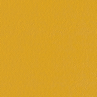 Picture of Burke - Colorscape Sculptured 36 x 36 Daffodil