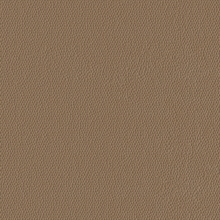 Picture of Burke - Colorscape Sculptured 36 x 36 Ginger