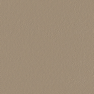 Picture of Burke - Colorscape Sculptured 36 x 36 Gray Beige