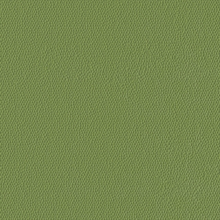 Picture of Burke - Colorscape Sculptured 36 x 36 Sugar Snap