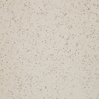 Picture of Burke - Colorspec Sculptured 36 x 36 Coast Line