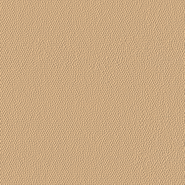 Picture of Burke - Colorscape Sculptured 36 x 36 QuickStix Desert Sand