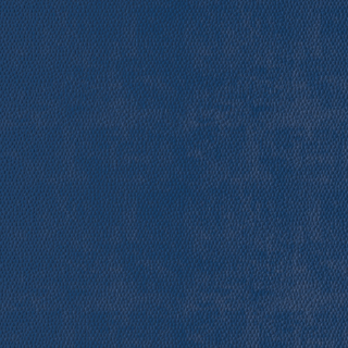 Picture of Burke - Colorscape Sculptured 36 x 36 QuickStix Peacock