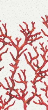 Picture of Bisazza Mosaico - Decori 10 - Corallo Corallo