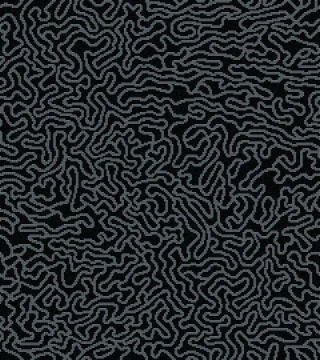 Picture of Bisazza Mosaico - Decori 10 - Groove Black