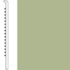 Picture of Roppe - Pinnacle Rubber Wall Base 5 (No Toe Base) Aged Fern
