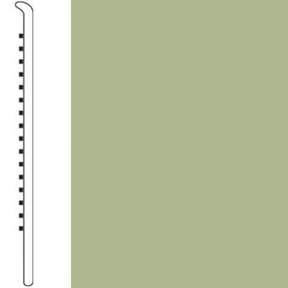 Picture of Roppe - Pinnacle Rubber Wall Base 5 (No Toe Base) Aged Fern