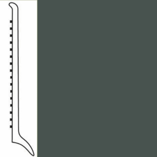 Picture of Roppe - Pinnacle Rubber Wall Base 4 (Long Toe Base) Evergreen