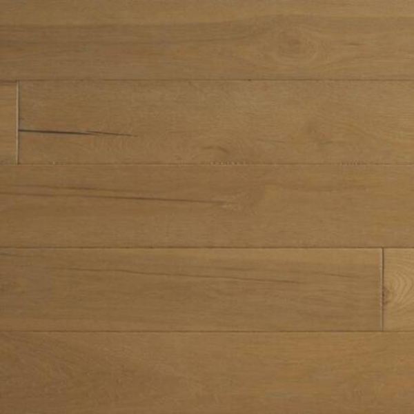 Picture of Palmetto Road - Chalmers Tawny