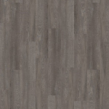 Picture of Palmetto Road - Journey Compass