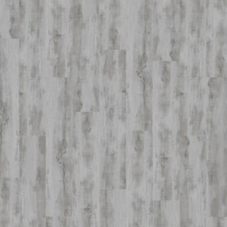 Picture of Palmetto Road - Journey Safari