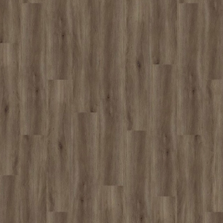 Picture of Palmetto Road - Journey Tempo