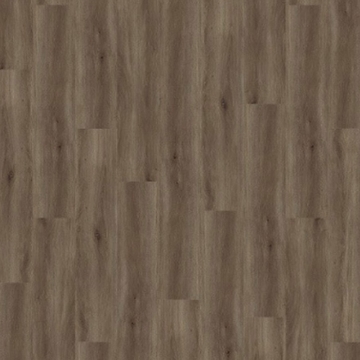 Picture of Palmetto Road - Journey Tempo