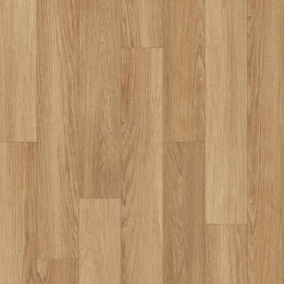 Picture of Palmetto Road - Journey Desert