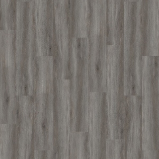 Picture of Palmetto Road - Sojourn Crossing