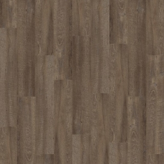 Picture of Palmetto Road - Sojourn Ramble