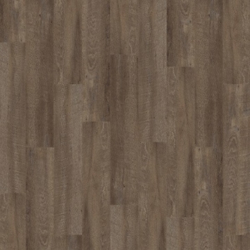 Picture of Palmetto Road - Sojourn Ramble