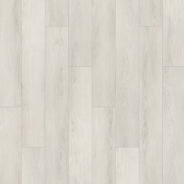 Picture of Palmetto Road - Sojourn Oasis