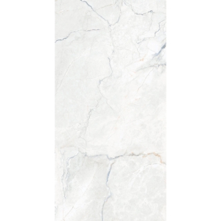 Picture of Happy Floors - Statik 12 x 24 Blend Polished