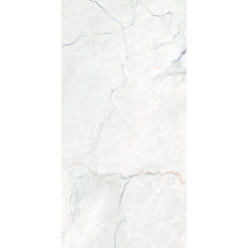 Picture of Happy Floors - Statik 12 x 24 Blend Polished