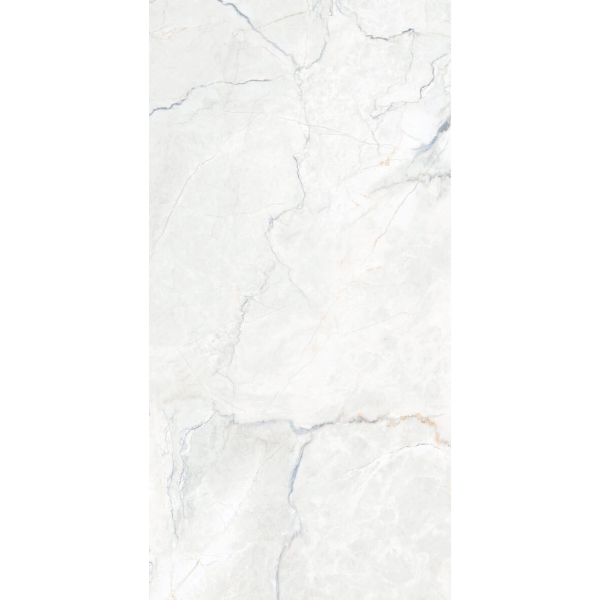 Picture of Happy Floors - Statik 12 x 24 Blend Polished