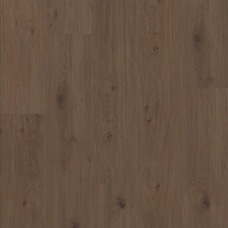 Picture of Shaw Floors - Homestead Tuxedo Bronze