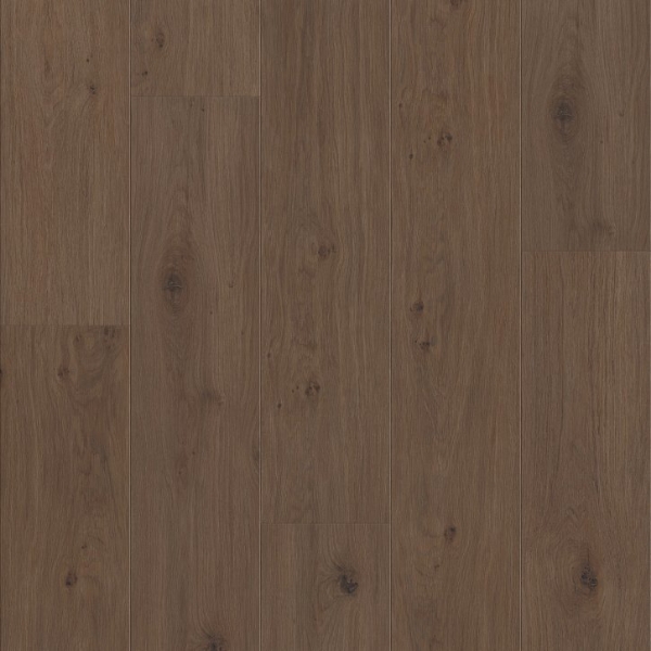 Picture of Shaw Floors - Homestead Tuxedo Bronze