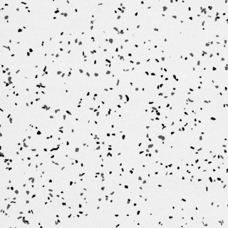 Picture of Rikett - RQT Medley 12 x 24 White Pepper