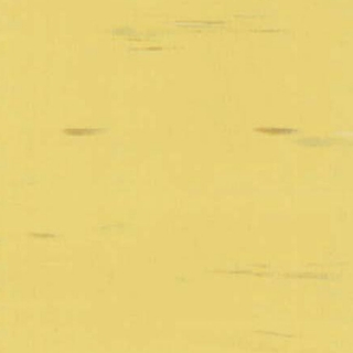 Picture of Rikett - RQT Classic 12 x 24 Honey Mustard