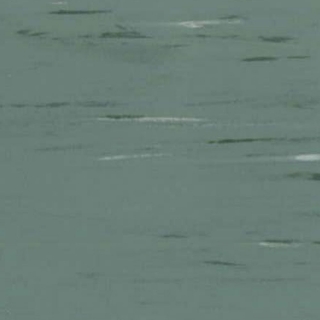 Picture of Rikett - RQT Classic 12 x 24 Sage