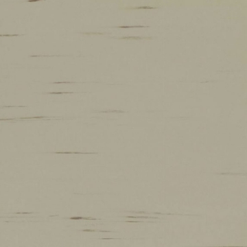 Picture of Rikett - RQT Classic 12 x 24 Stone