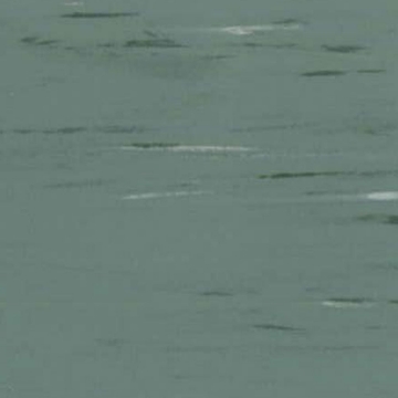 Picture of Rikett - RQT Classic 12 x 12 Sage